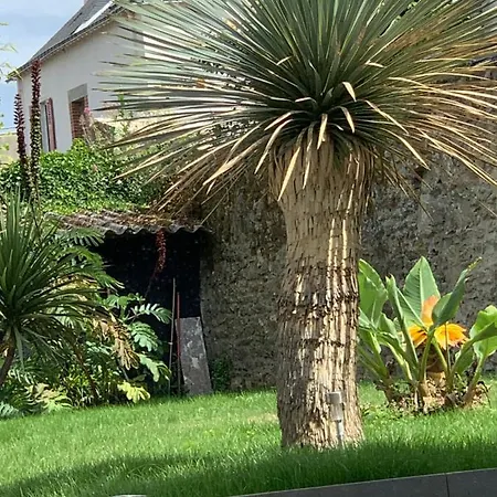 Adorable Guest House Au Calme A 3 Min Du Port Vannes Buitenkant foto